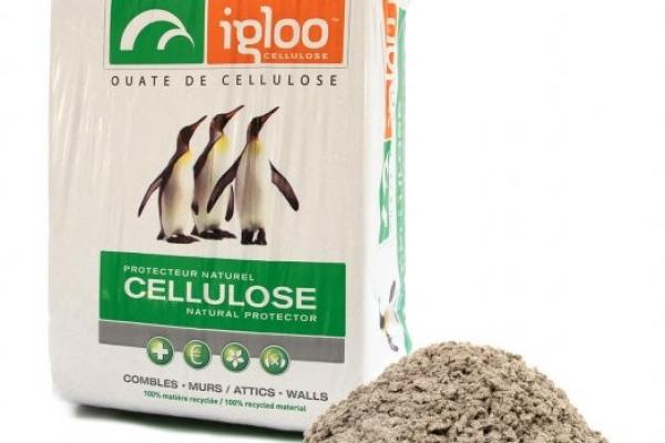 Ouate de cellulose 